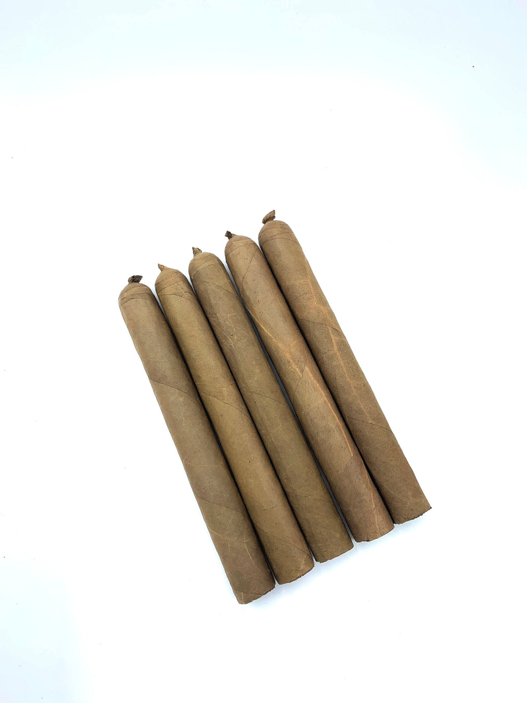 Premium Select Corona Brush (5.5 x 42)  habano 5 pack