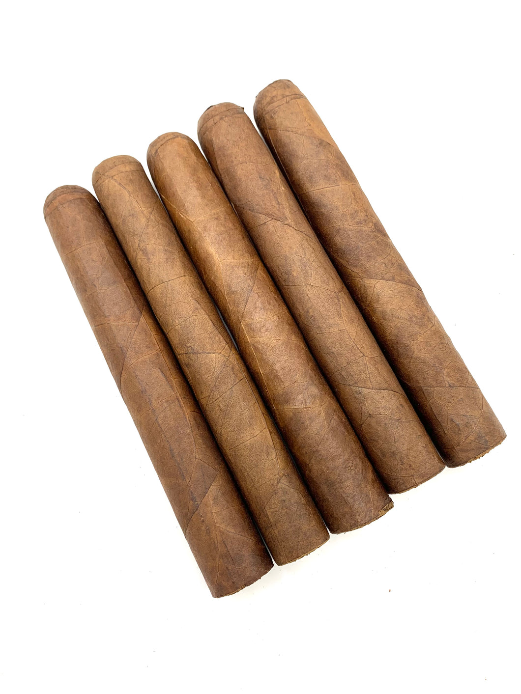 Limited PANSA 6.5 x 60 Sungrown